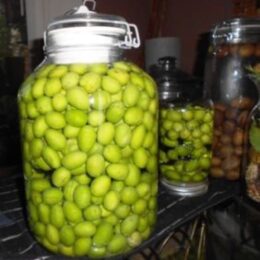 Curing and preserving olives - The Norfolk Olive Tree Company