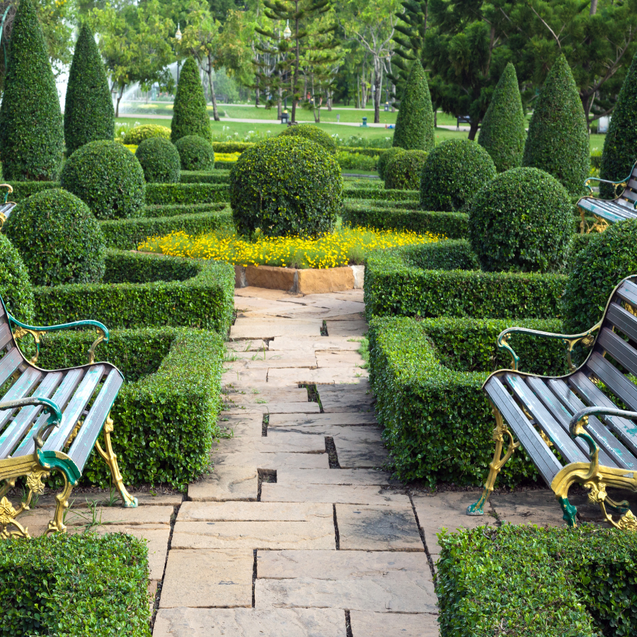 Make luxurious topiary garden to decorate on budget with greenery